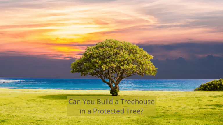 Can You Build A Treehouse In A Protected Tree