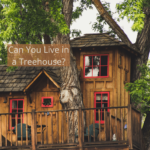 Can-You-Live-in-a-Treehouse