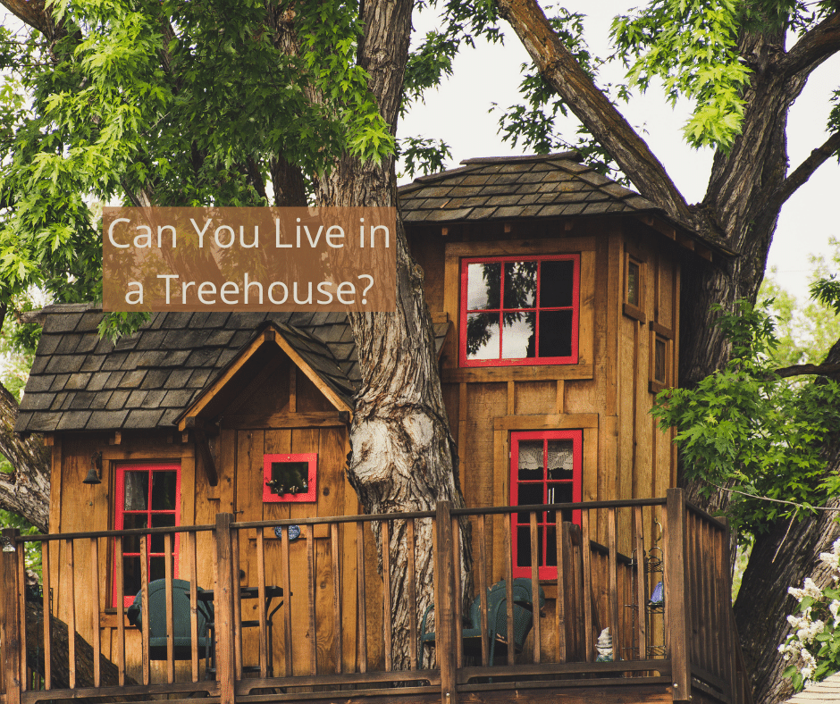Can You Live in a Treehouse?