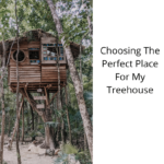 Choosing The Perfect Place For My Treehouse
