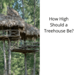 How High Should a Treehouse Be?