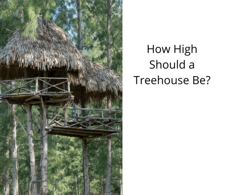 How High Should a Treehouse Be? Tiny House 43