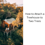 How to Attach a Treehouse to Two Trees
