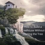 How to Build a Treehouse Without Hurting the Tree