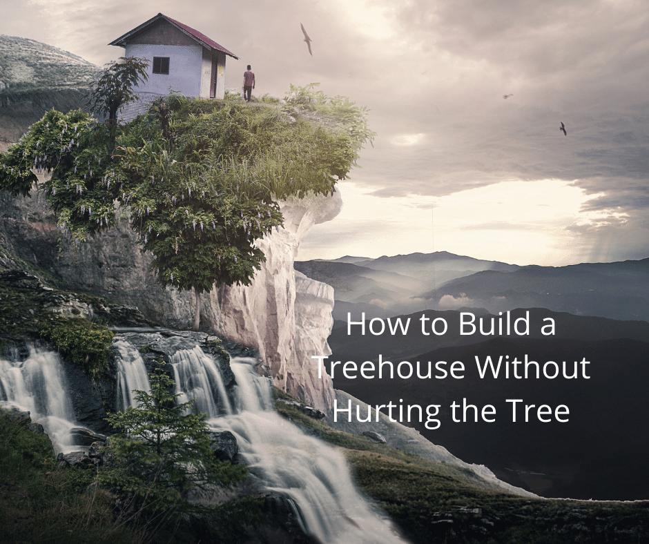 How to Build a Treehouse Without Hurting the Tree