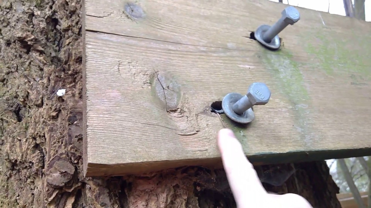Treehouse Attachment Bolts