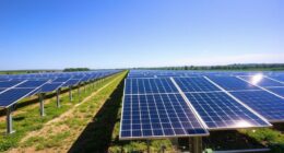 bifacial vs traditional efficiency