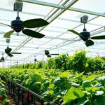 solar greenhouse ventilation options