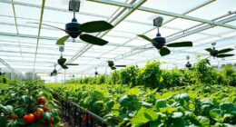 solar greenhouse ventilation options