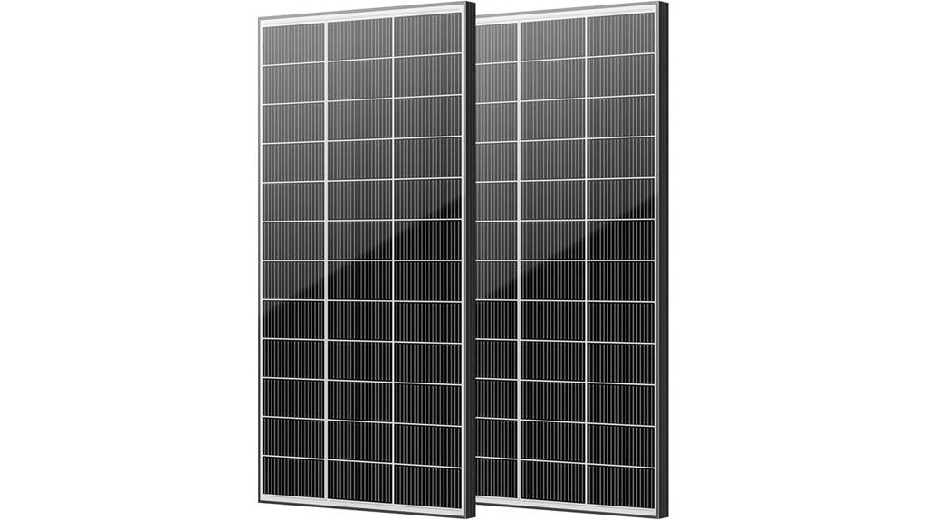 two pack 300w bifacial