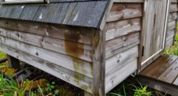 limited ventilation moisture buildup