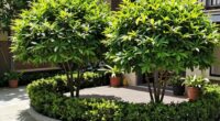 small yard shade trees