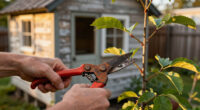 11 Best Pruning Shears in 2026