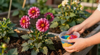 4 Best Dahlia Fertilizers in 2026